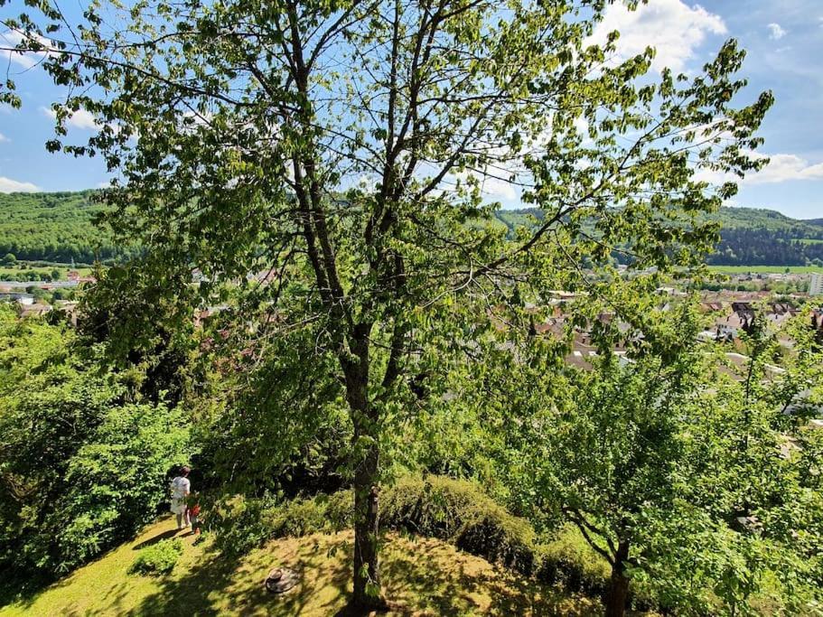 Studiowohnung Schwabenalb Mit Panoramablick 알브쉬타트 외부 사진